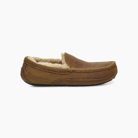 UGG Ascot Leather Brown Slippers for Men (SDFY32058)